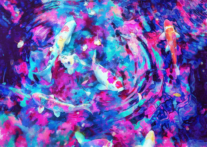 Koi multicolor