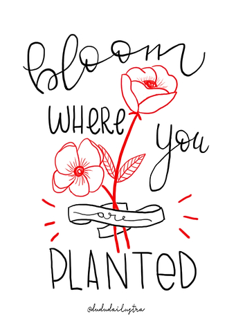 Bloom