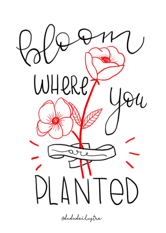 Bloom