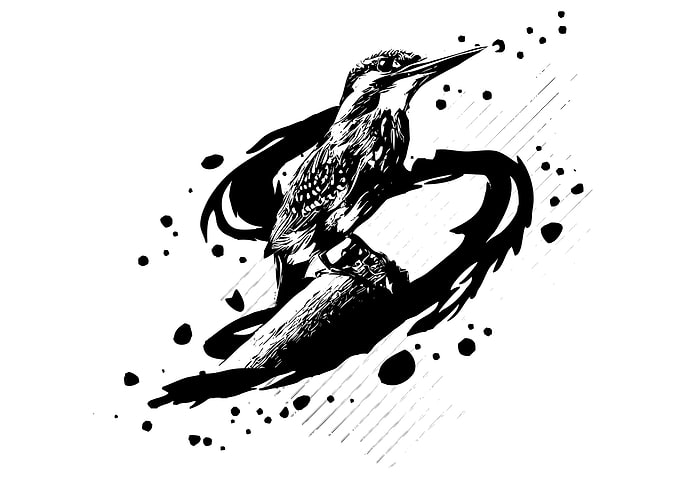 bird ink vector art