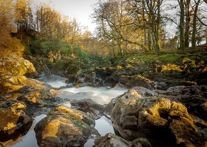 autumn light