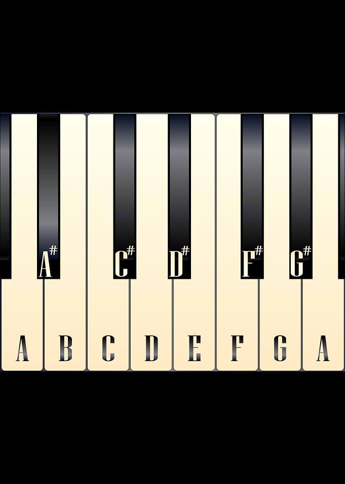 Piano Keys Note Names