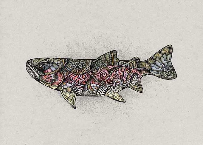 Rainbow Trout Reimagined