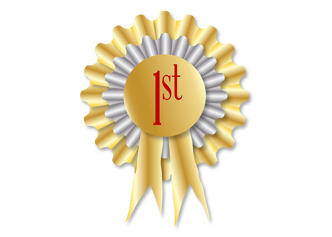 First Prize Rosette