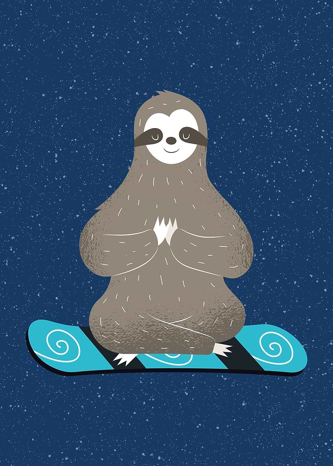 SNOWBOARDING SLOTH
