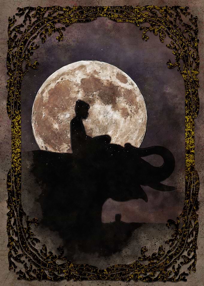 Night under the moon