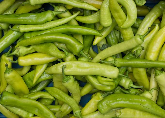 Green Chillies
