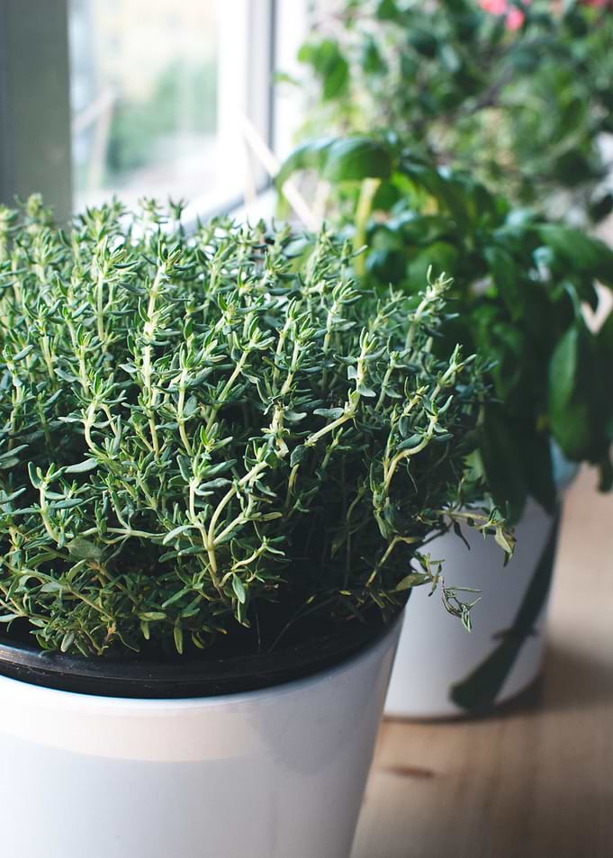 Herbs In The Kitchen