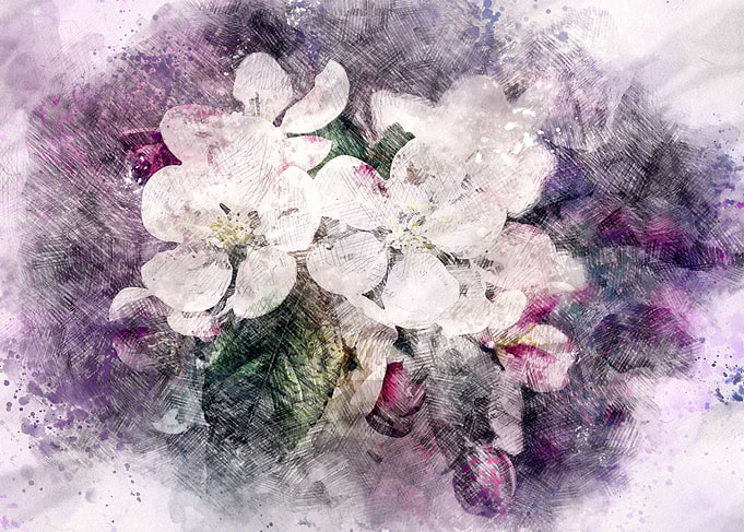 Petals And Berries