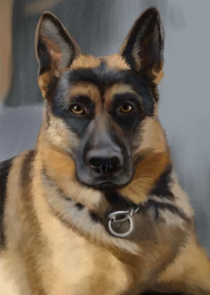 Dog Pastor Alemo