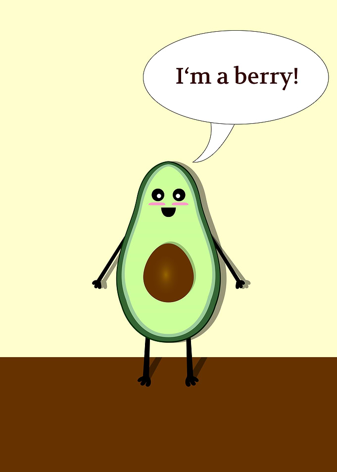 The talking avocado