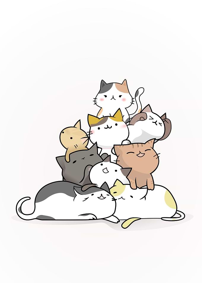 Cute Cats