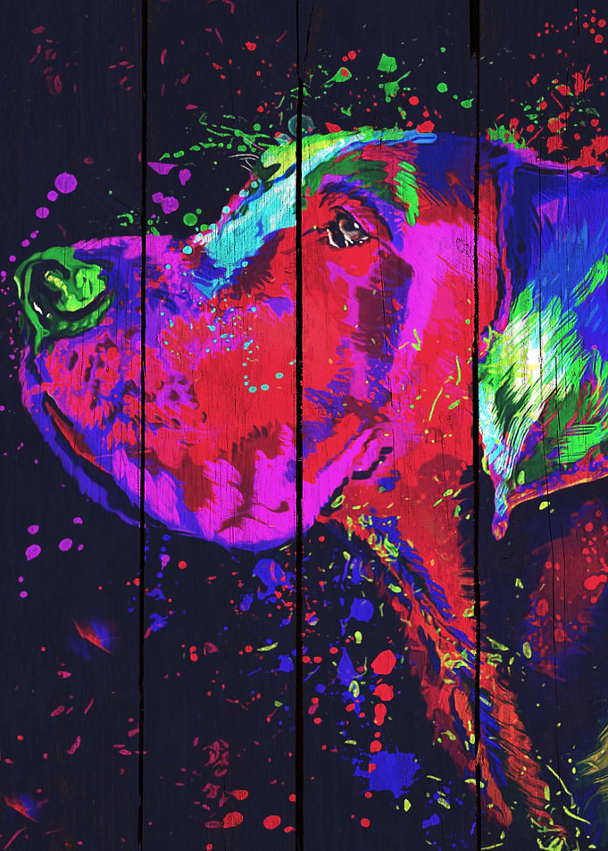 Dog Great Dane Art
