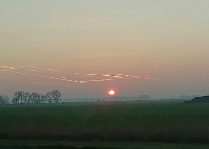 sunset in field