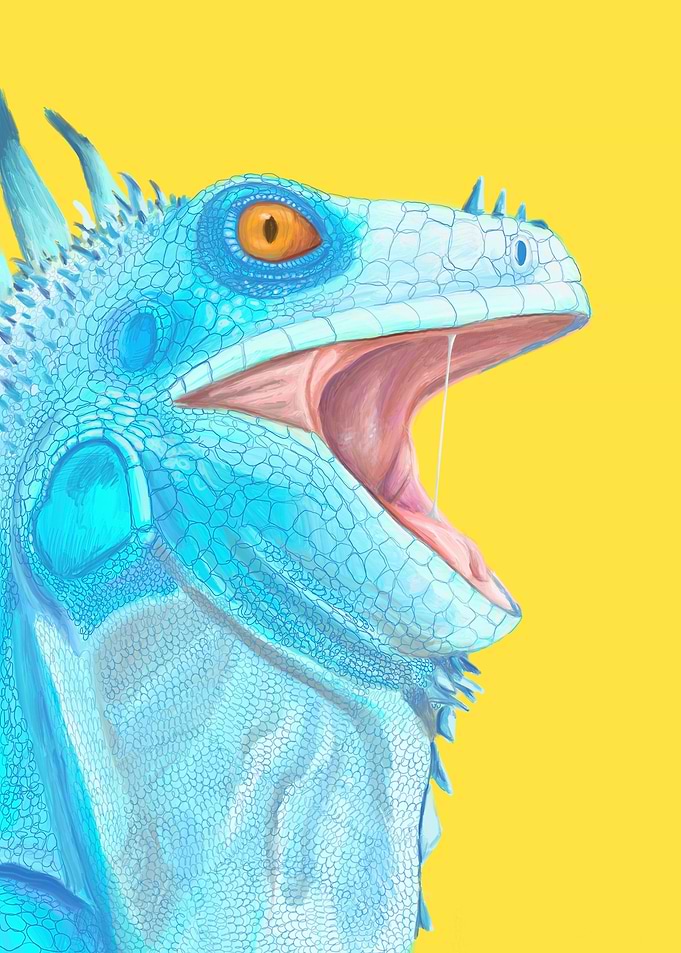 Iguana