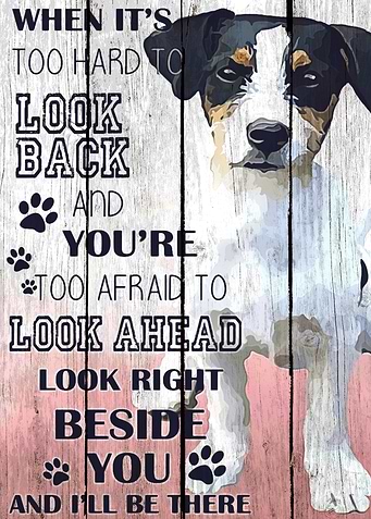 Jack Russell Art