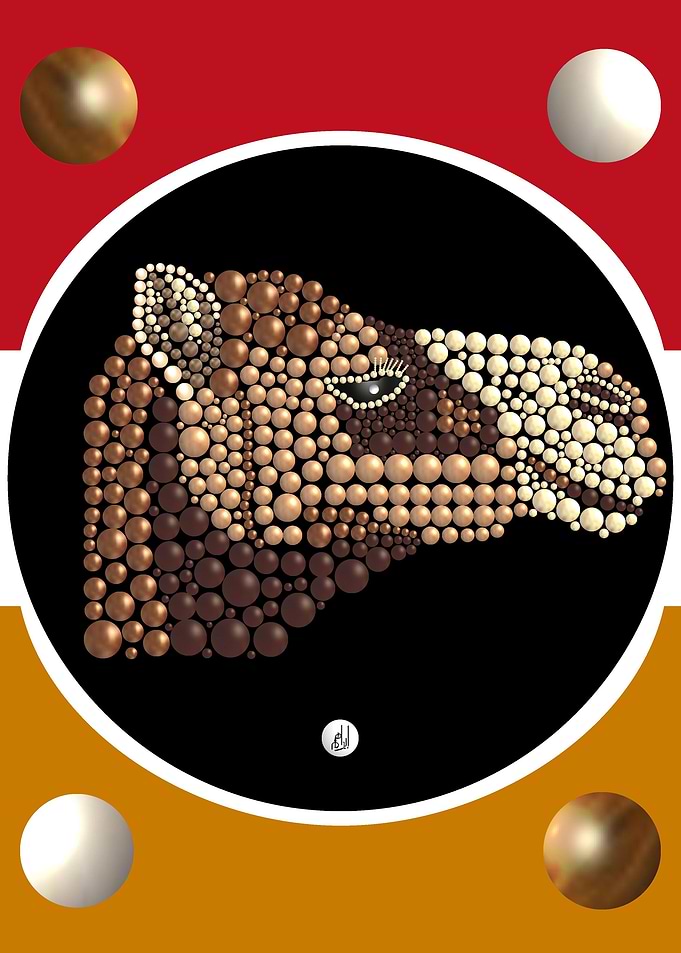Chameau sahara collection