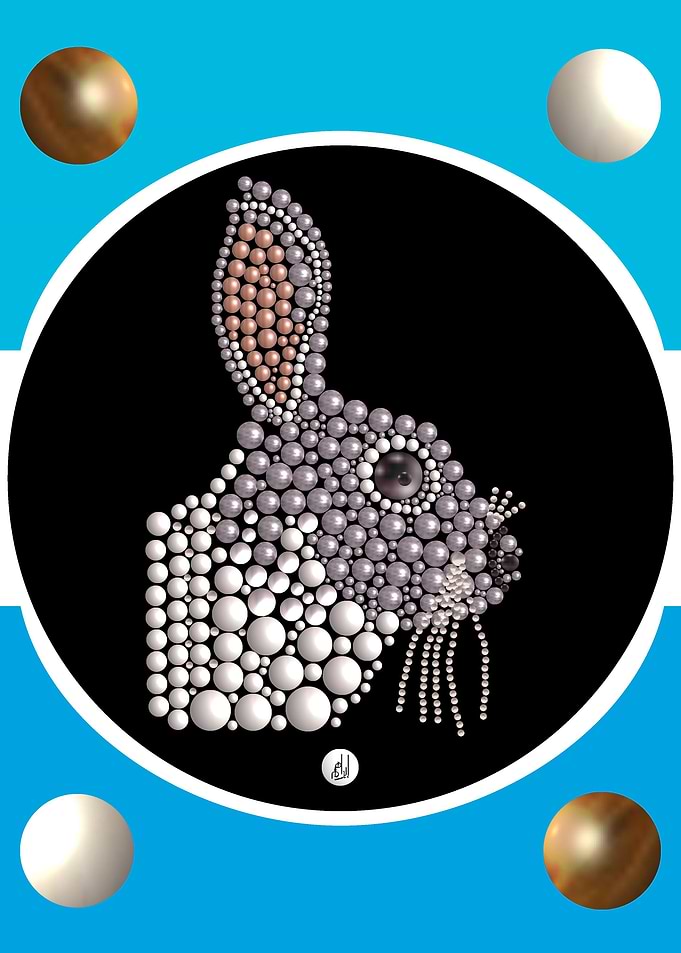 lapin collection