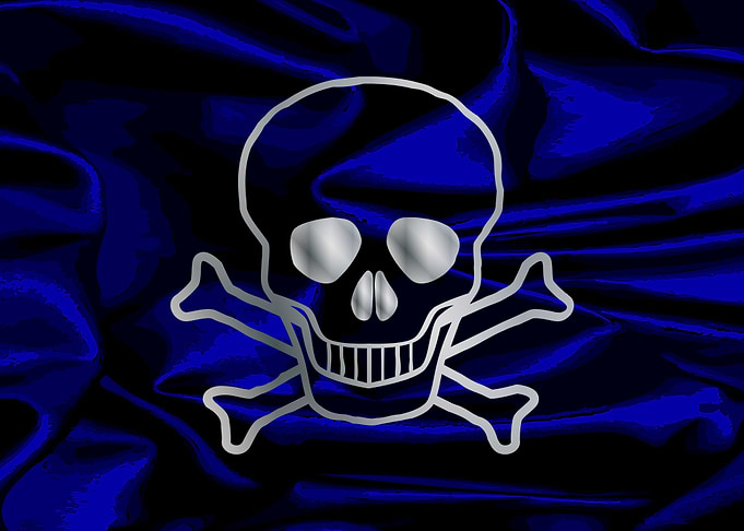 Pirate Flag