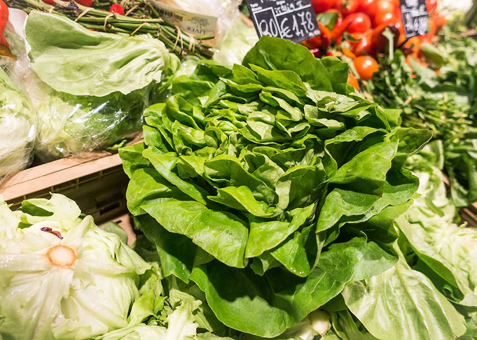 Salad Leafs