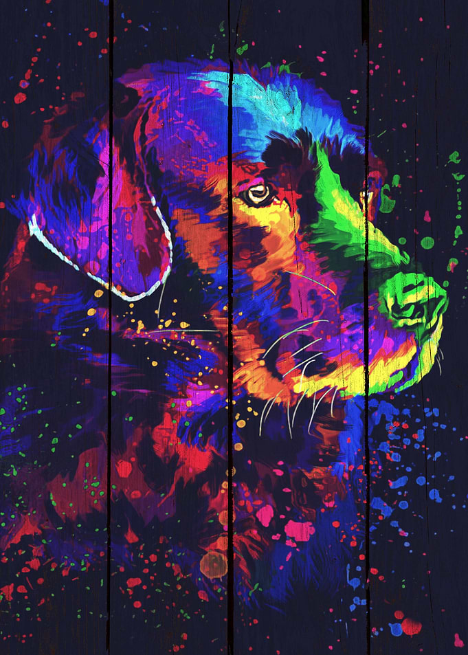 Labrador Art