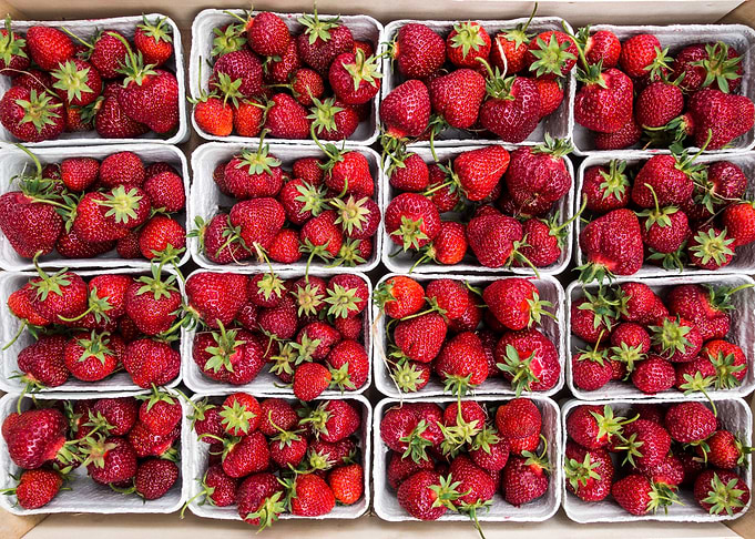 Strawberry For Smoothies