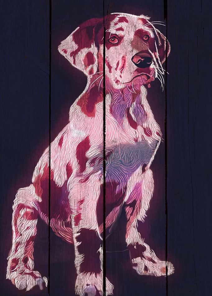 Dog Great Dane Art