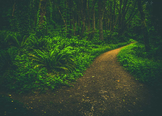 Path to solitude