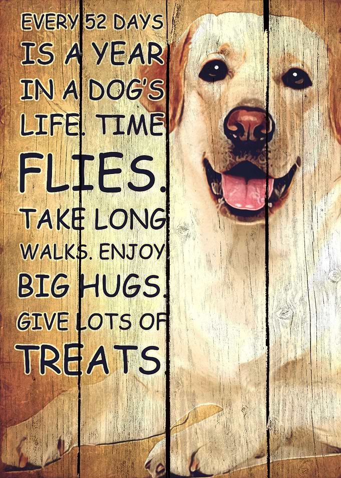 Labrador Art