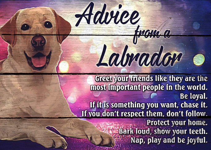 Labrador Art