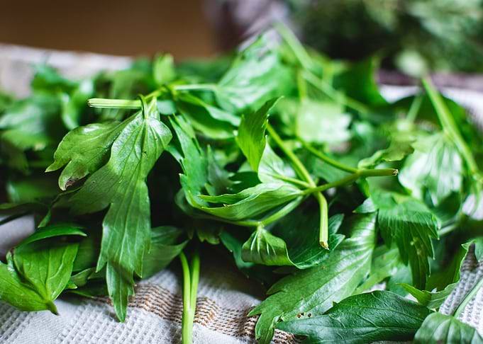 Spinach