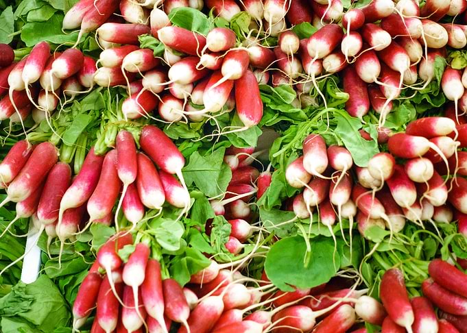 The Fruit Market Guy