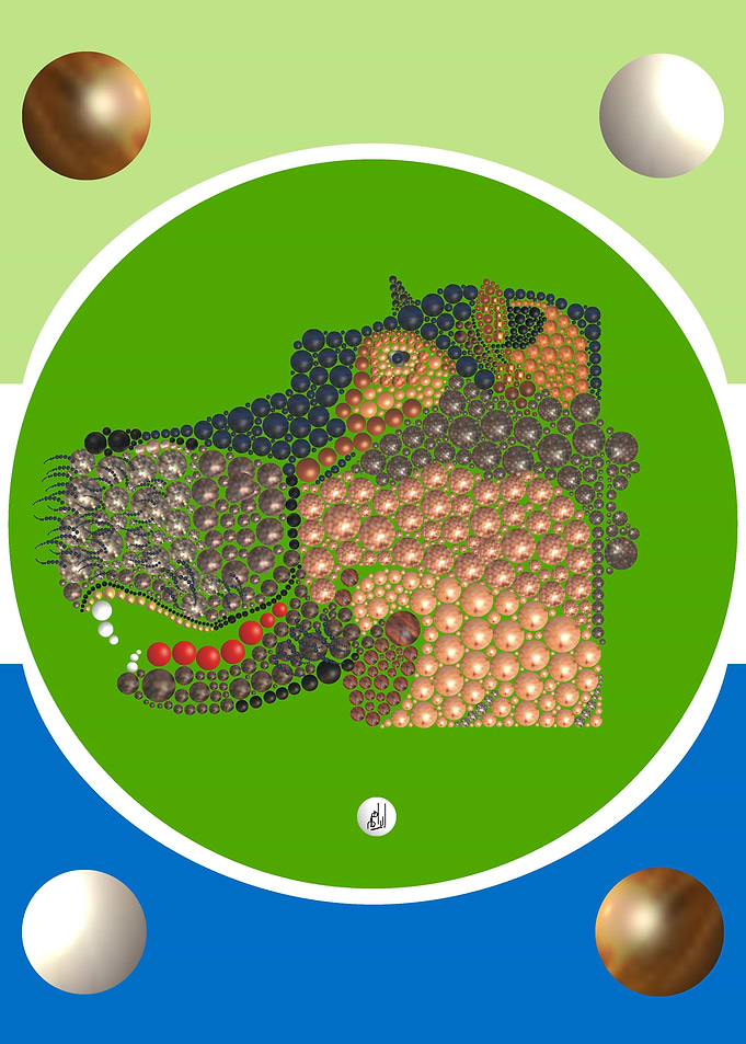 hippopotame collection