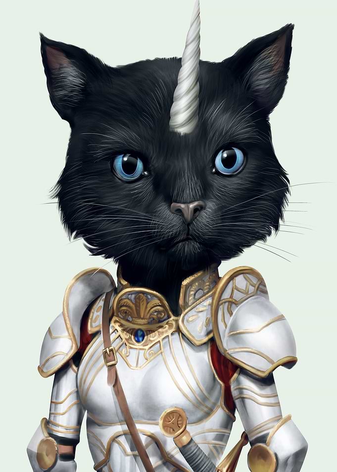 unicorn warrior black cat