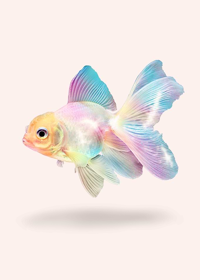 Holographic Goldfish