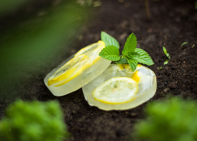 Iced Lemons