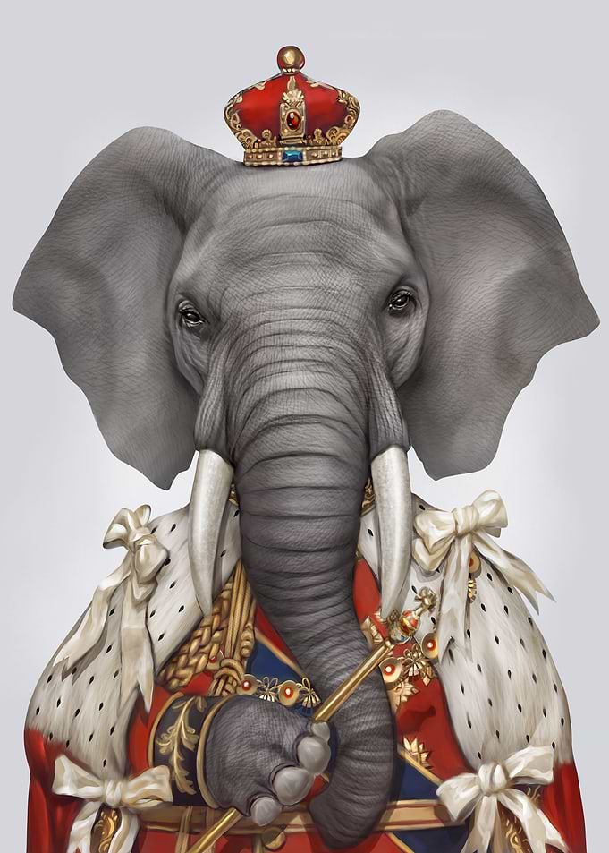 king elephant portrait
