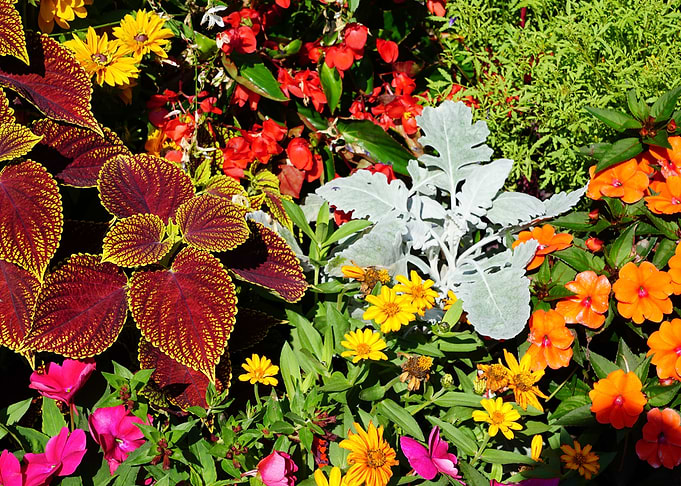Floral And Leafy