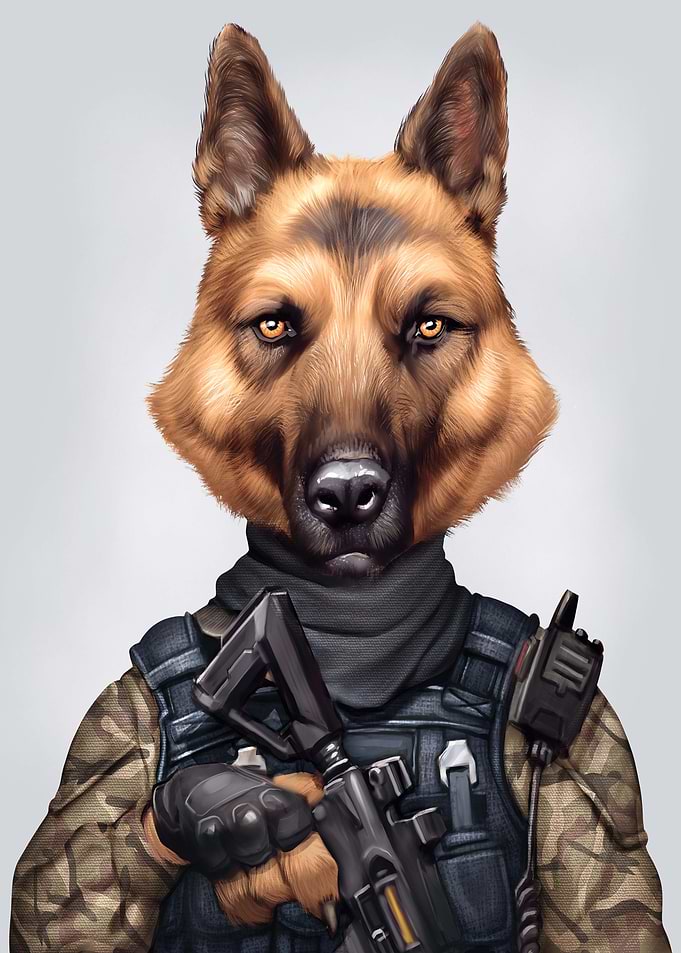 military german shepherd