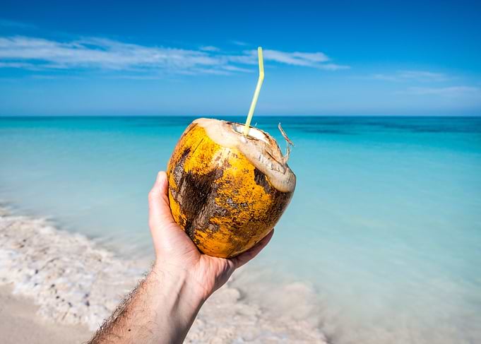 Coconut Drink