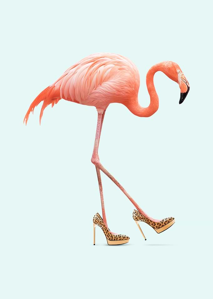 Fancy Flamingo