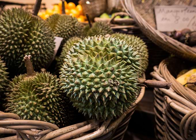 Fruit
