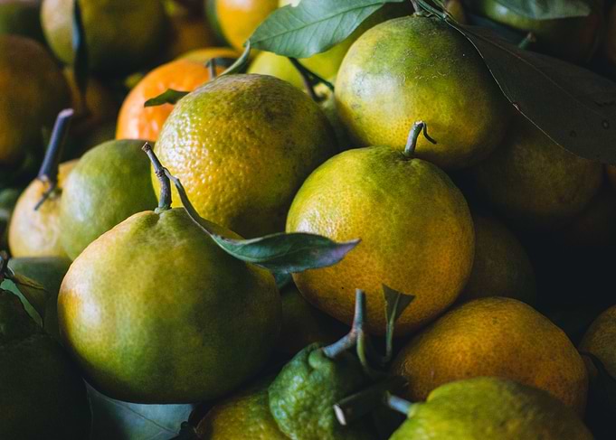 Fruit Paradise