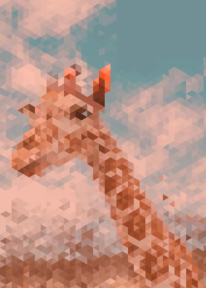 Fragile Giraffe