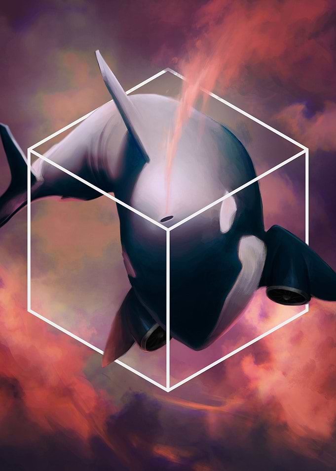 Orca Airline