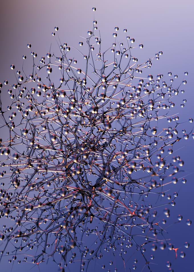 Thorns
