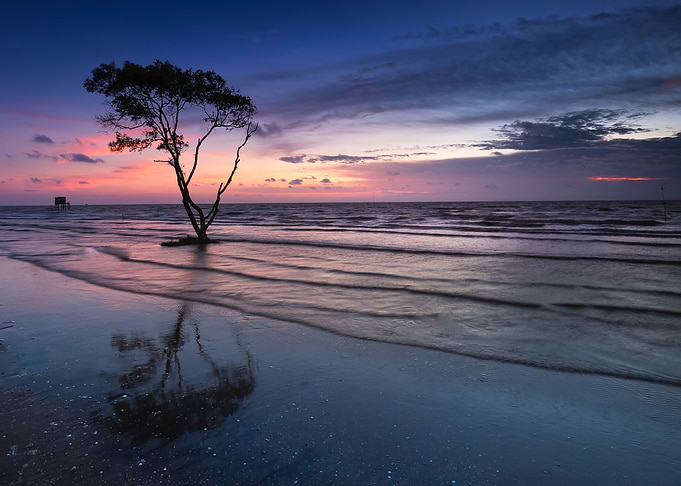 Three near water