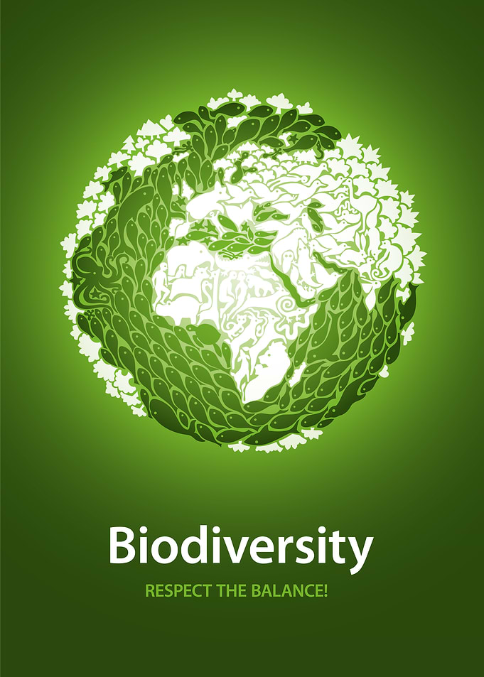 Biodiversity globe poster