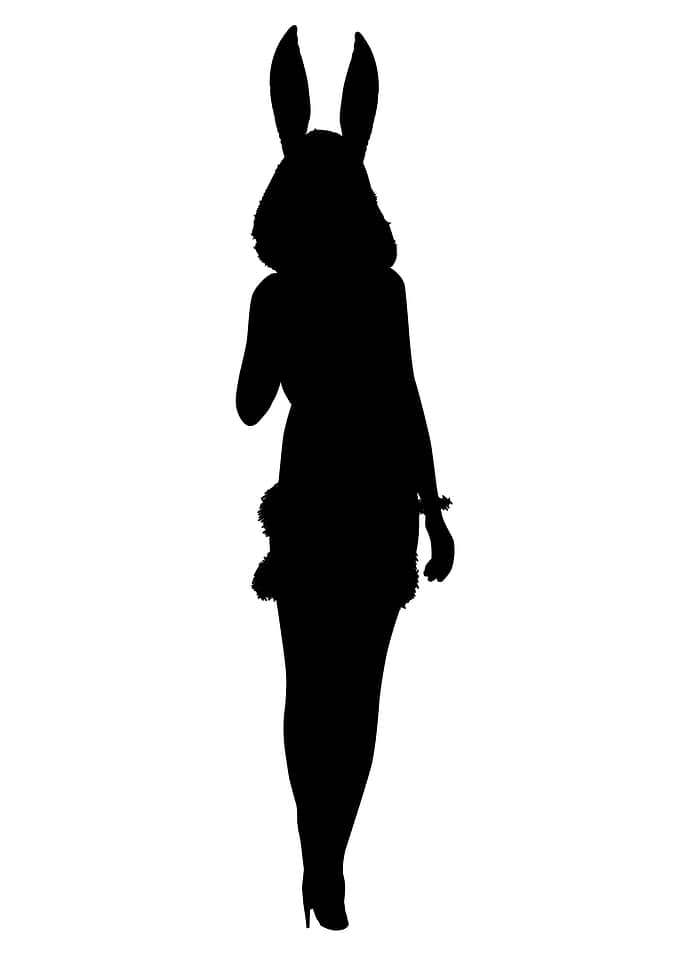 Rabbit Girl