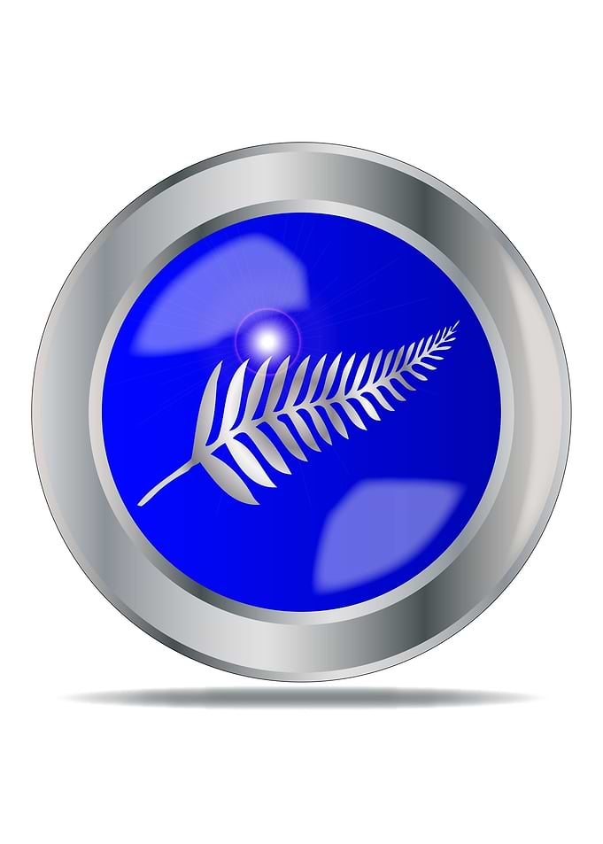 Silver Fern Button